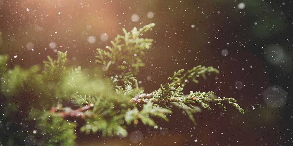 Susanne’s Adventskalender Challenge – 17. Dezember 2021