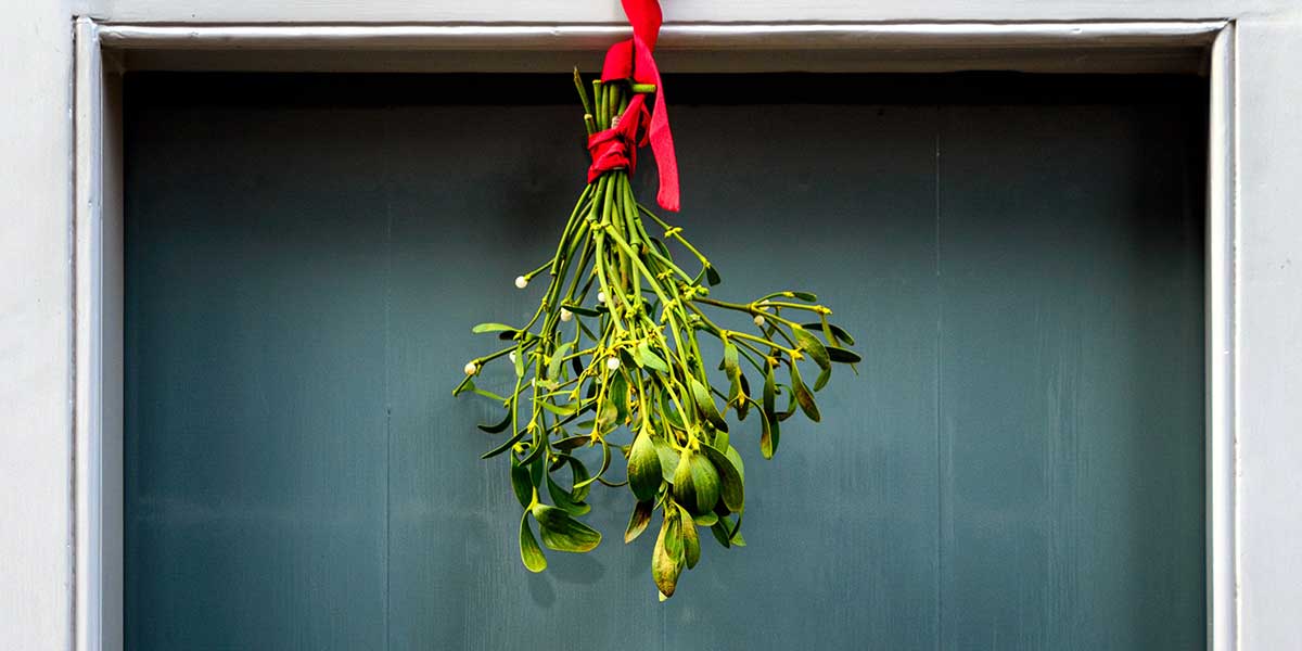 Susanne’s Adventskalender Challenge – 21. Dezember 2021