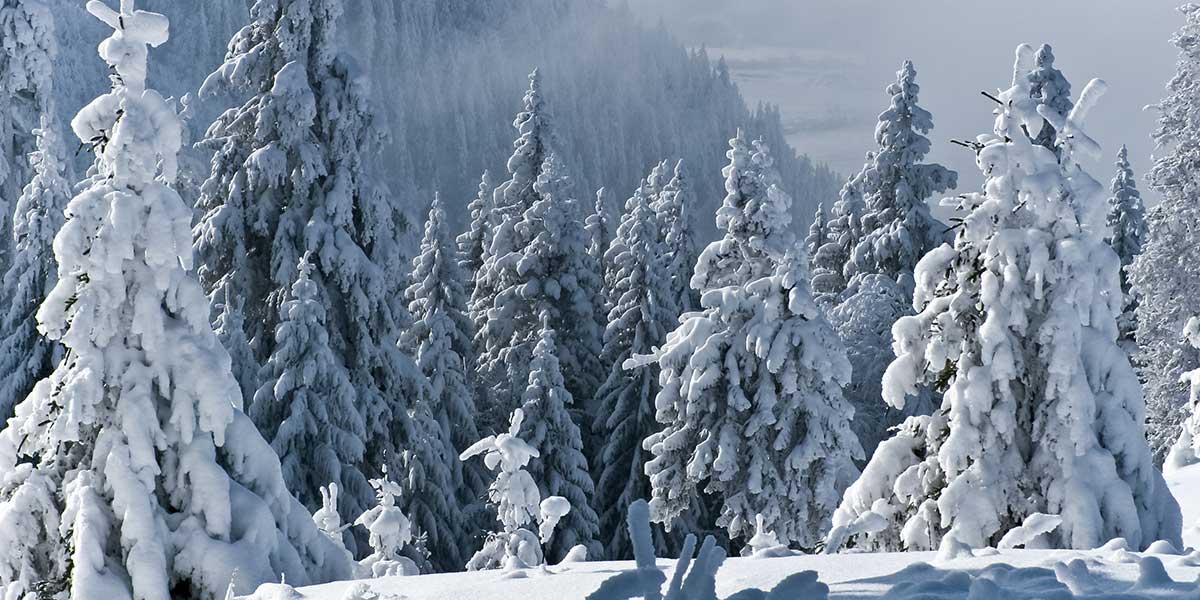 Susanne’s Adventskalender Challenge – 23. Dezember 2021